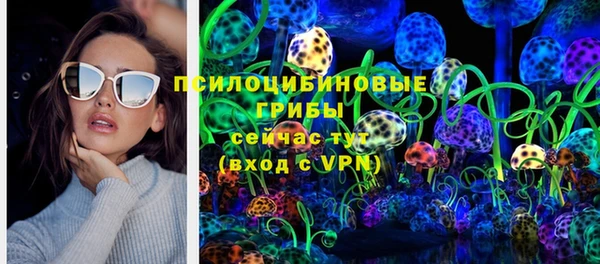 apvp Нефтекумск