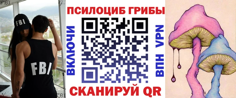 Псилоцибиновые грибы GOLDEN TEACHER  где найти наркотики  omg как зайти  Комсомольск-на-Амуре 