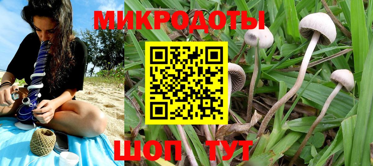 НБОМе Комсомольск-на-Амуре